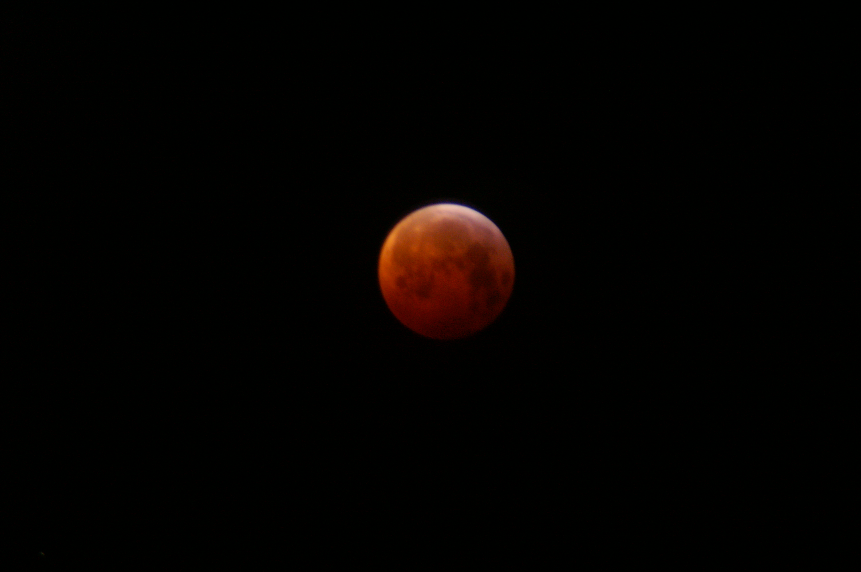 bloodmoon 2019